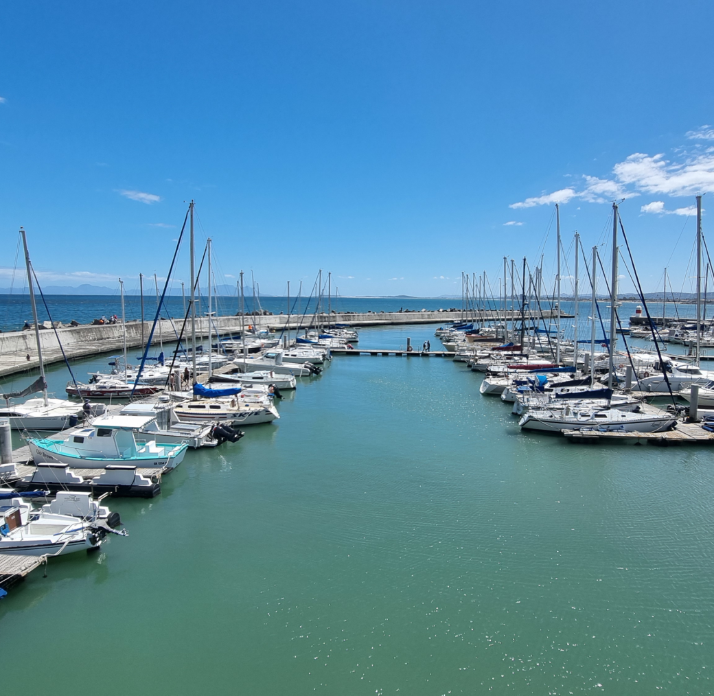 sailing charters from Gordons Bay Yacht Club